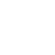 icono 1